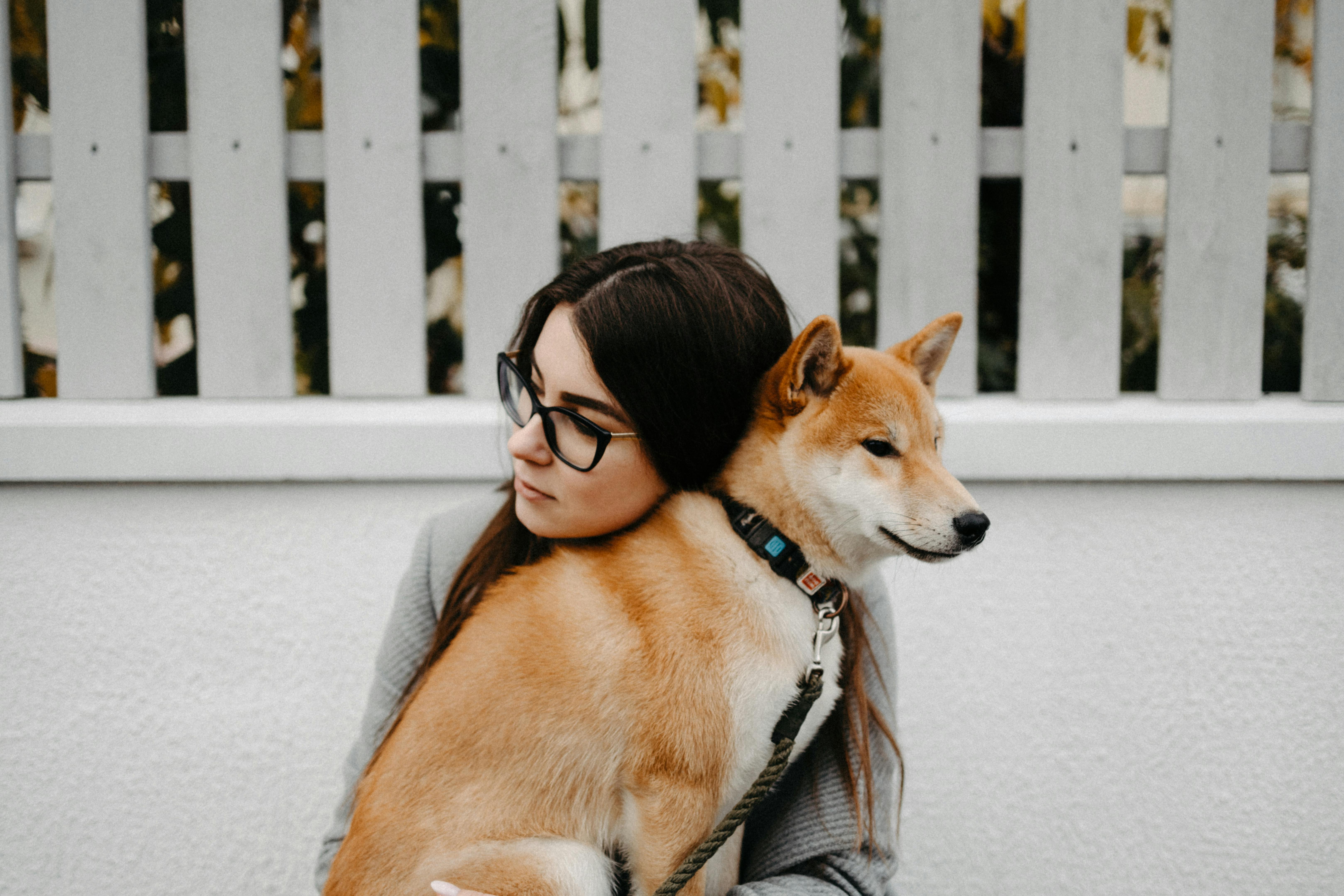 Wie is de eigenaar van de hond?